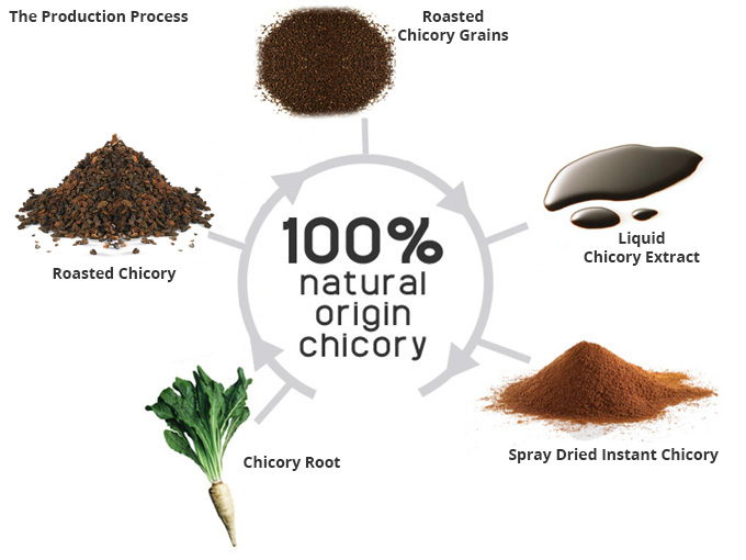 Chicory powder manufacturer/supplier in india . Yogiras International